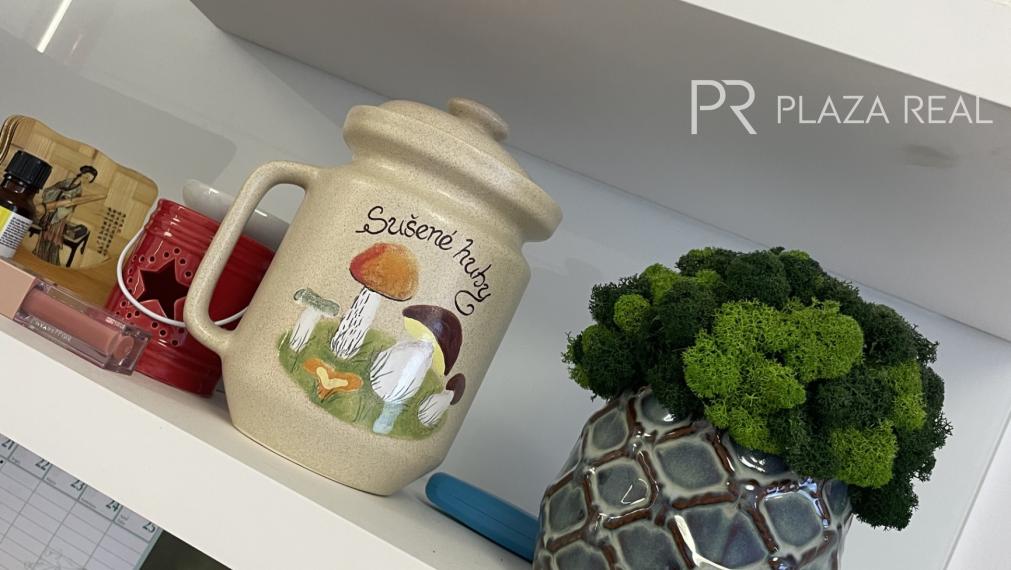 4 izbový byt v BORY Na Hrádzi, šarmantný, vzdušný, pivnica a garážové státie