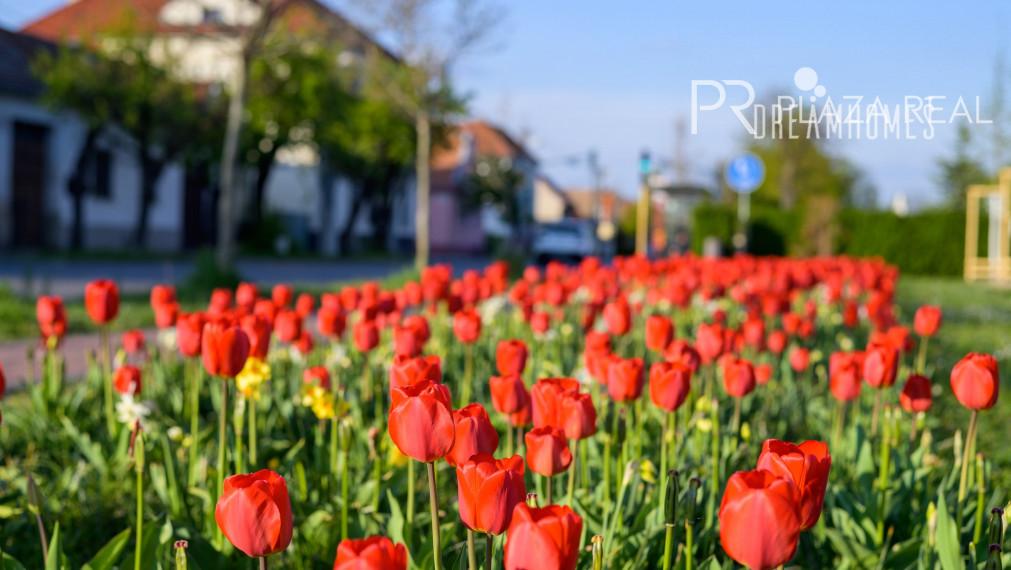 PREDAJ - Novostavba rodinného domu - Vajnory - Roľnícka ulica