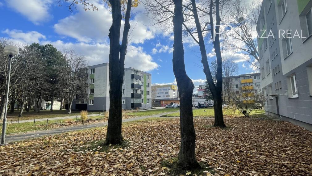 PREDAJ -  pekný, útulný 3 izb. byt v tichej zelenej časti Ružinova