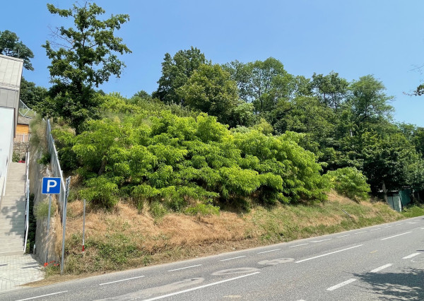 Slnečný pozemok veľkorysých rozmerov - Devínska cesta, časť Zlaté schody.
