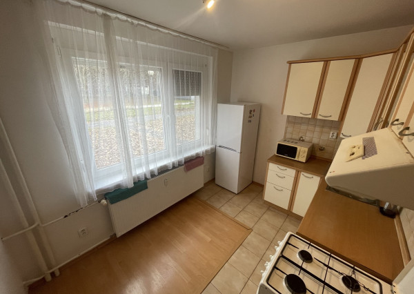 PREDAJ -  pekný, útulný 3 izb. byt v tichej zelenej časti Ružinova