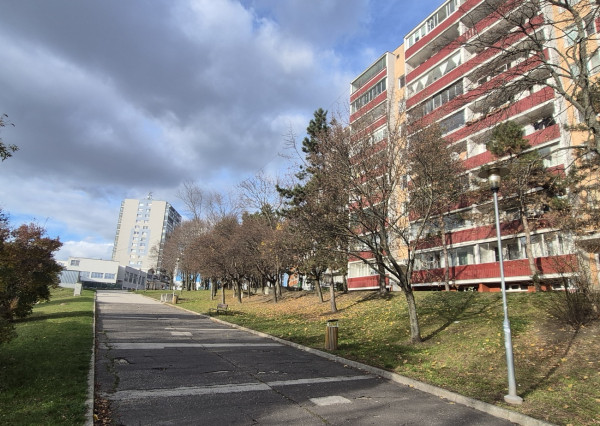 Predaj-veľmi pekný jednoizbový byt Bratislava Dúbravka, Landauova