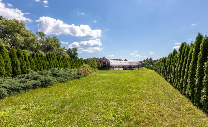 Predaj pozemku, budovy s apartmánmi, 5457 m2, Pravenec, Prievidza - fotografia 5