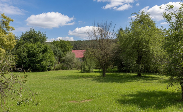 Predaj - Prašník rodinný dom-chalupa,  2721m2, okres Piešťany - fotografia 9