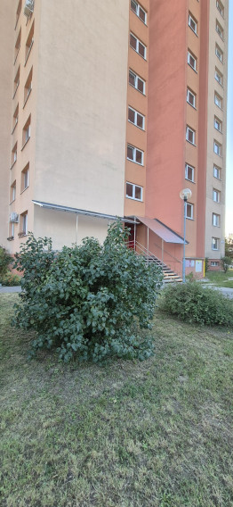 hľadám súrne 1i byt Vrakuňa, Podunajské Biskupice